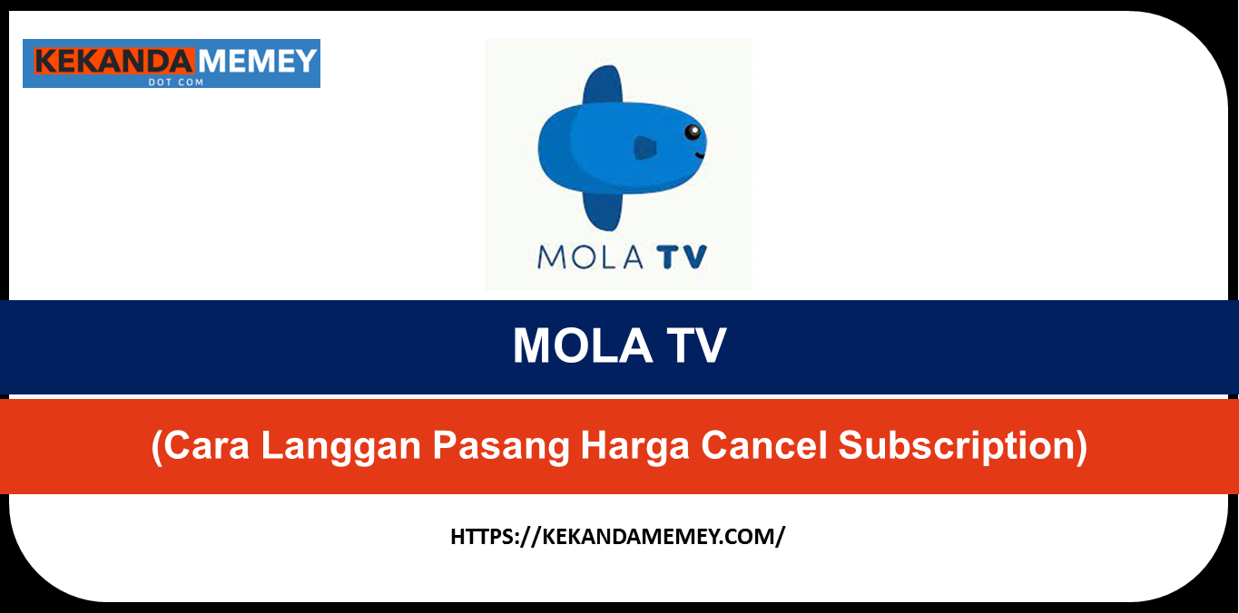 MOLA TV