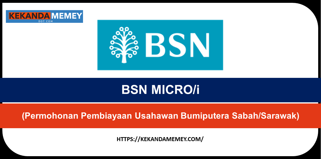 BSN MICRO/i